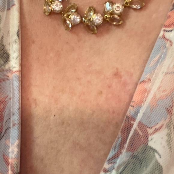 Rare J. Crew Crystal Necklace - Picture 8 of 9